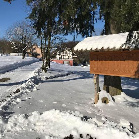 Grundmuehle Rhoen Nordheim vor der Rhön Εξωτερικό φωτογραφία